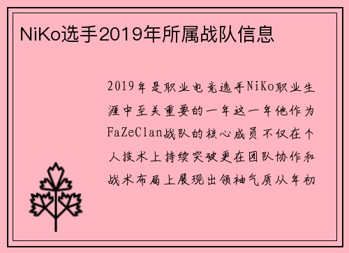 NiKo选手2019年所属战队信息